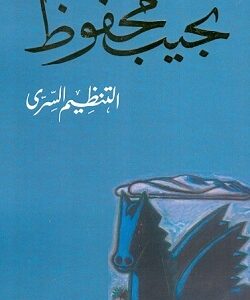 التنظيم السري