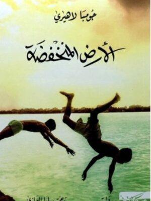 الأرض المنخفضة